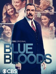 Blue Bloods French Stream