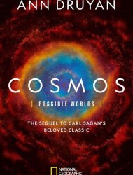 Cosmos: Possible Worlds French Stream