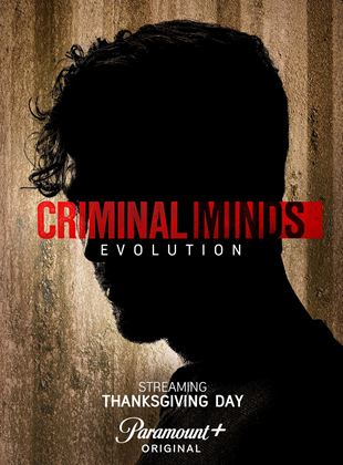 Criminal Minds: Evolution French Stream
