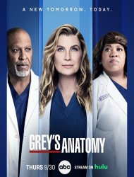 Grey's Anatomy French Stream