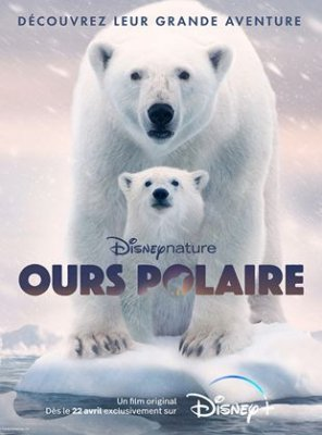 Ours Polaire Streaming VF VOSTFR